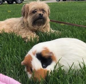 Meet your Posher, Susan